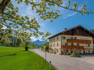 Vielseitig nutzbare Immobilie in Golfplatznähe zwischen Bad Ischl und St. Wolfgang zu kaufen | Objekt 941 | Daxner Immobilien, Ebensee, Bad Ischl, Salzkammergut