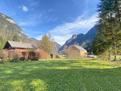 Baugrundstück in traumhafter Ruhelage von Gosau zu kaufen | Objekt 954 | Daxner Immobilien, Ebensee, Bad Ischl, Salzkammergut